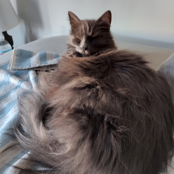 Meet your Posher, John - Picture 3 of 10